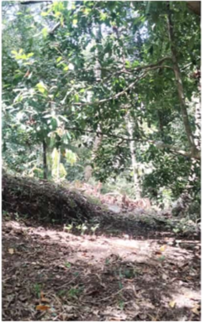 Hero Slide