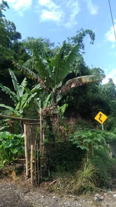 Hero Slide