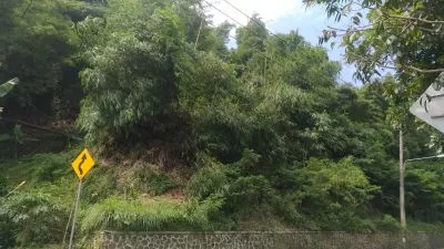 Hero Slide
