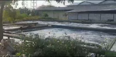 Hero Slide