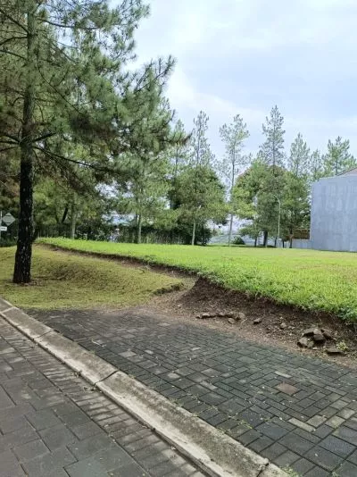 Hero Slide