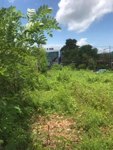 Hero Slide