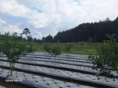 Hero Slide