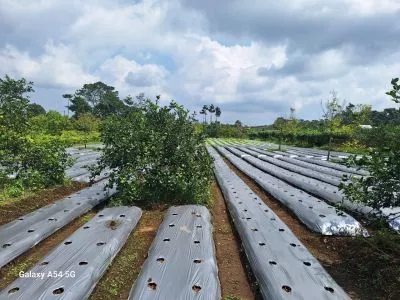 Hero Slide