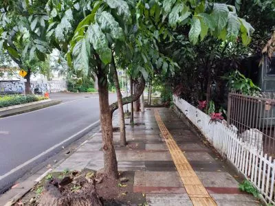 Hero Slide