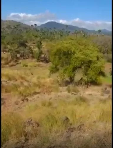 Hero Slide