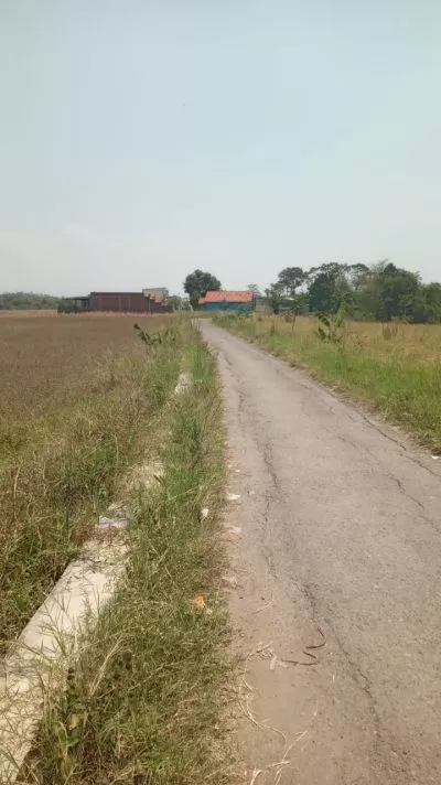 Hero Slide
