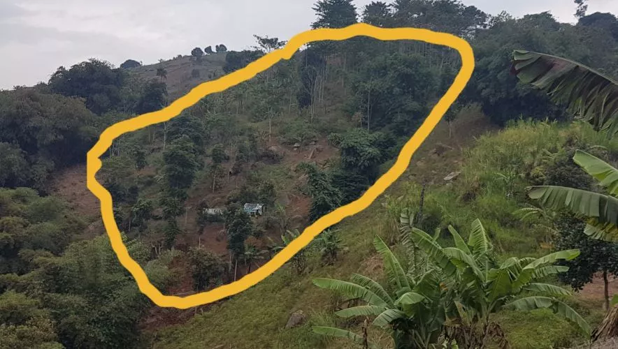 Hero Slide