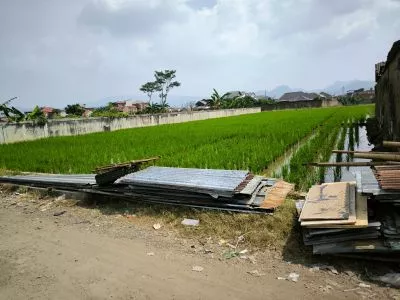 Hero Slide