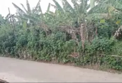 Hero Slide