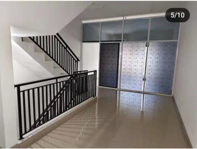 Hero Slide