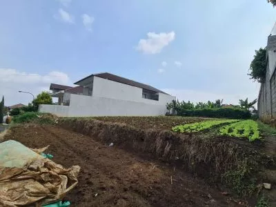 Hero Slide