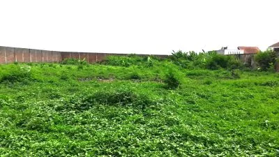 Hero Slide
