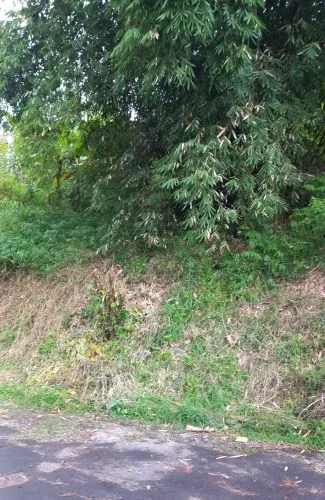 Hero Slide
