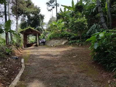 Hero Slide