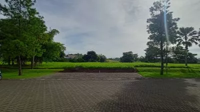 Hero Slide
