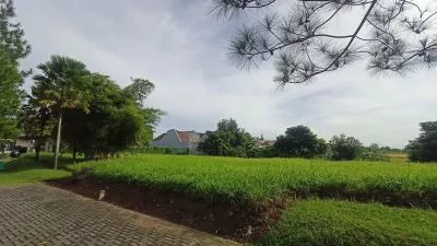 Hero Slide