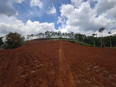 Hero Slide