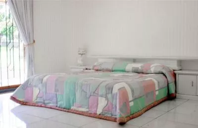 Hero Slide
