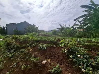 Hero Slide