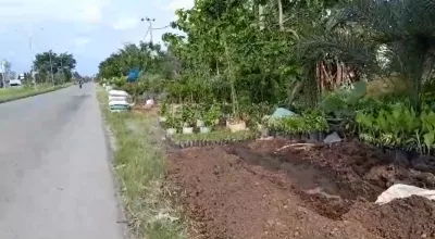 Hero Slide
