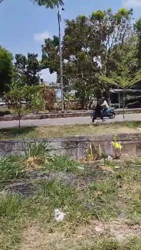 Hero Slide