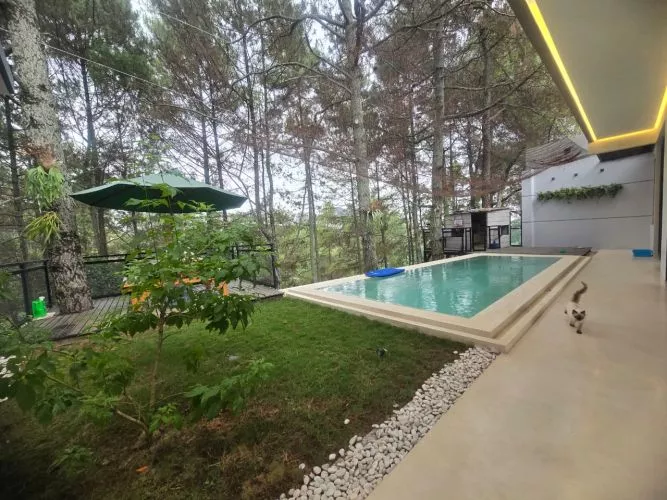 Hero Slide