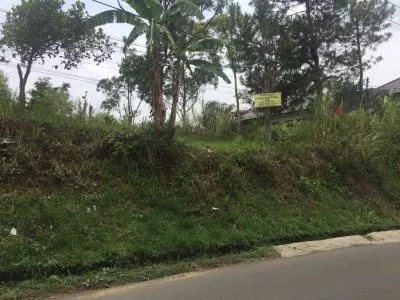 Hero Slide