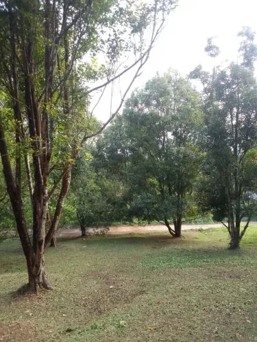 Hero Slide