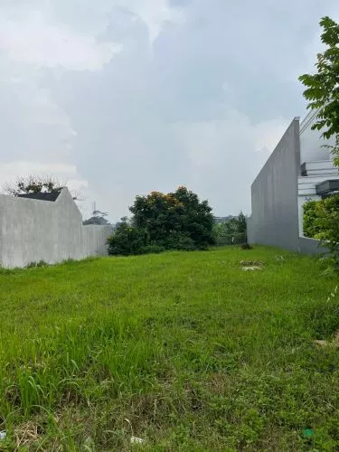 Hero Slide