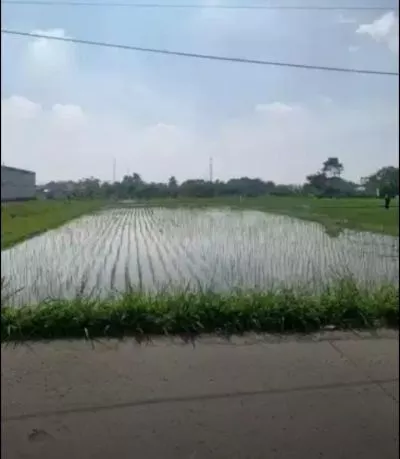Hero Slide