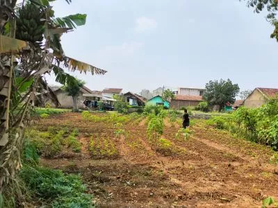 Hero Slide