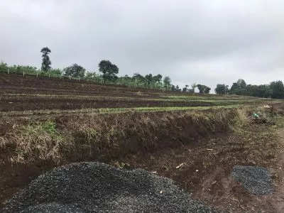 Hero Slide