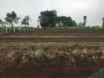 Hero Slide