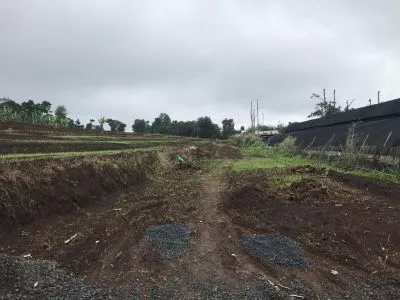 Tanah di Padalarang Cocok Untuk Perumahan Villa Rumah Sakit Dekat Tol dan KCIC Whoosh Tanah di Padalarang Cocok Untuk Perumahan Villa Rumah Sakit Dekat Tol dan KCIC Whoosh