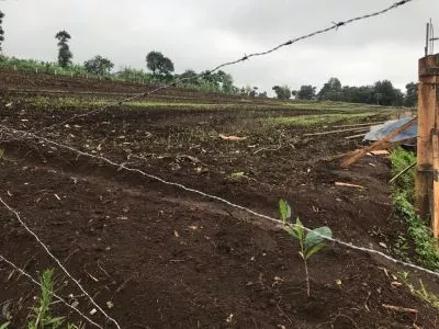 Hero Slide