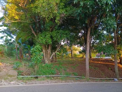 Dijual Tanah Mainroad Strategis di Cimahi Utara Dijual Tanah Mainroad Strategis di Cimahi Utara