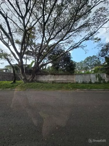 Tanah Strategis di Mainroad Setraduta Cemara Akses Mudah Lingkungan Nyaman Tanah Strategis di Mainroad Setraduta Cemara Akses Mudah Lingkungan Nyaman