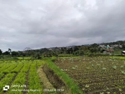 Hero Slide