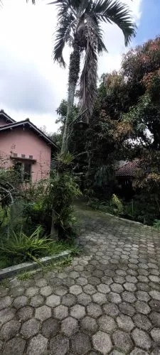 Rumah Lahan Luas di Sariwangi Indah Bandung Rumah Lahan Luas di Sariwangi Indah Bandung