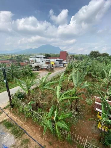 Jual tanah hokkie