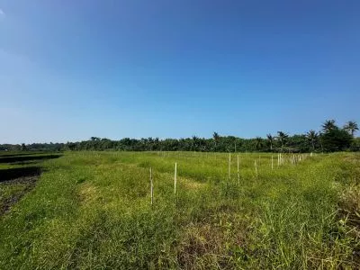Tanah Tabanan Pantai Kelating Bali Tanah Tabanan Pantai Kelating Bali