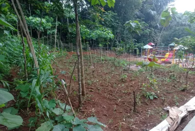 Hero Slide