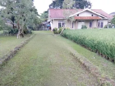 1 Bidang Tanah Cocok Untuk Usaha di Megamendung Puncak