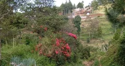 Dago Giri Kavling siap pakai ada view dijual 