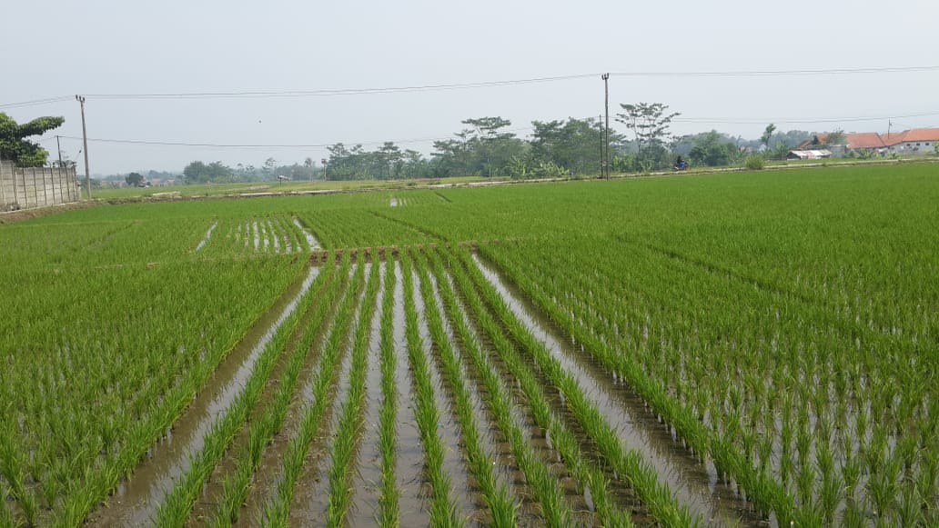Di jual tanah  industri cimareme